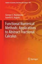 Functional Numerical Methods: Applications to Abstract Fractional Calculus