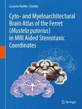 Cyto- and Myeloarchitectural Brain Atlas of the Ferret (Mustela putorius) in MRI Aided Stereotaxic Coordinates