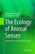 The Ecology of Animal Senses: Matched Filters for Economical Sensing