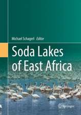 Soda Lakes of East Africa