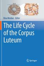 The Life Cycle of the Corpus Luteum