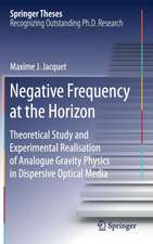 Negative Frequency at the Horizon: Theoretical Study and Experimental Realisation of Analogue Gravity Physics in Dispersive Optical Media