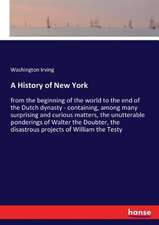 A History of New York