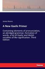 A New Gaelic Primer