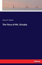 The Flora of Mt. Orizaba