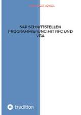 SAP Schnittstellen Programmierung mit RFC und VBA