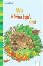 Wo kleine Igel sind