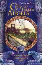 Chroniken der Unterwelt 04. City of Fallen Angels