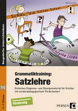 Grammatiktraining: Satzlehre