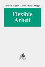 Rechtshandbuch Flexible Arbeit