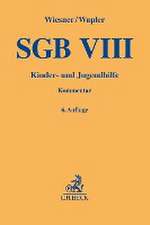 SGB VIII