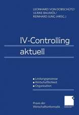 IV-Controlling aktuell: Leistungsprozesse Wirtschaftlichkeit Organisation