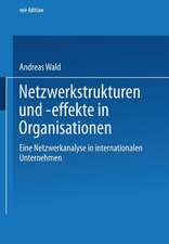 Netzwerkstrukturen und -effekte in Organisationen: Eine Netzwerkanalyse in internationalen Unternehmen