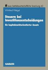 Steuern bei Investitionsentscheidungen: Ein kapitalmarktorientierter Ansatz