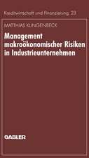 Management makroökonomischer Risiken in Industrieunternehmen: Möglichkeiten einer effektiveren Gestaltung am Beispiel des Währungsrisikos