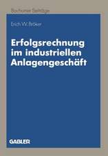 Erfolgsrechnung im industriellen Anlagengeschäft: Ein dynamischer Ansatz auf Zahlungsbasis