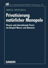 Privatisierung natürlicher Monopole: Theorie und internationale Praxis am Beispiel Wasser und Abwasser