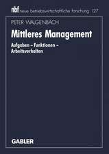 Mittleres Management: Aufgaben — Funktionen — Arbeitsverhalten