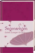 Segensregen