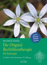 Die Original Bachblütentherapie für Einsteiger