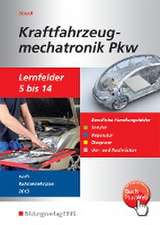 Kraftfahrzeugmechatronik PKW. Schulbuch. Lernfelder 5-14