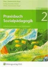 Praxisbuch Sozialpädagogik 2 Arbeitsbuch