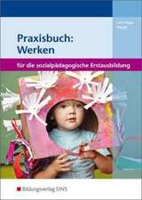 Praxisbuch: Werken in der sozialpädagogischen Erstausbildung