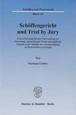 Schöffengericht und Trial by Jury