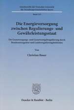 Die Energieversorgung zwischen Regulierungs- und Gewährleistungsstaat