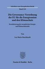 Die Governance-Verordnung der EU für die Energieunion und den Klimaschutz