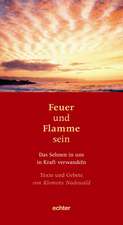 Feuer und Flamme sein