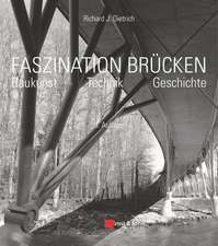 Faszination Brücken – Baukunst. Technik. Geschichte. 3e