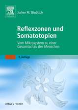 Reflexzonen und Somatotopien