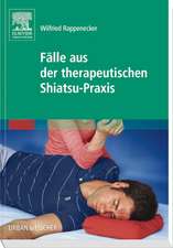 Fälle aus der therapeutischen Shiatsu-Praxis