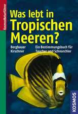 Was lebt in Tropischen Meeren?