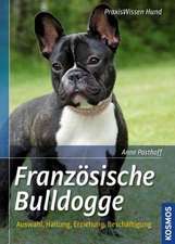 Französische Bulldogge