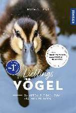 Lieblingsvögel