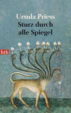 Sturz durch alle Spiegel