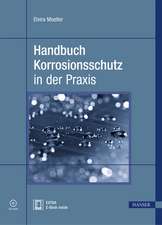 Handbuch Korrosionsschutz in der Praxis