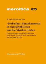 'Nubisches' Sprachmaterial in Hieroglyphischen Und Hieratischen Texten: Personennamen, Appellativa, Phrasen Vom Neuen Reich Bis in Die Napatanische Un