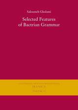 Selected Features of Bactrian Grammar