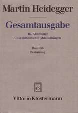 Heidegger: GA Abt. 3/66 Besinnung