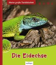 Die Eidechse