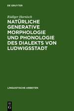 Natürliche generative Morphologie und Phonologie des Dialekts von Ludwigsstadt: Die Erprobung eines Grammatikmodells an einem einzelsprachlichen Gesamtsystem