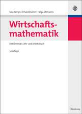 Wirtschaftsmathematik: Einführendes Lehr- und Arbeitsbuch