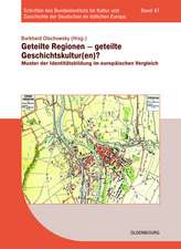 Geteilte Regionen – geteilte Geschichtskulturen?: Muster der Identitätsbildung im europäischen Vergleich