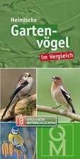 Heimische Garten- und Parkvögel im Vergleich. Bestimmungskarten