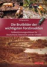 Die Brutbilder der wichtigsten Forstinsekten