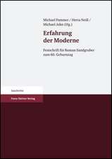 Erfahrung Der Moderne: Festschrift Fur Roman Sandgruber Zum 60. Geburtstag