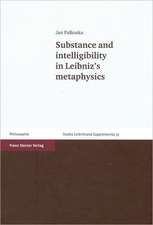 Substance and intelligibility in Leibniz's metaphysics